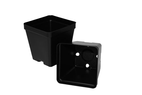 SVD 350 Black 450/case - Square Pots